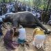 '신성한 코끼리' 라자의 죽음을 애도하는 스리랑카 국민.[EPA 연합뉴스 자료사진]
