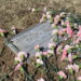 사후 100년 만에 사망원인이 자살에서 린치에 의한 피살로 정정된 조지 톰킨스 묘비
[인디애나 지역방송 WTHR 화면 캡처]