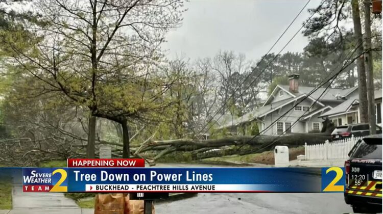 폭풍우로 벅헤드의 피치트리 힐스 애비뉴에 나무가 쓰러져 전기줄을 덮친 모습. WSB-TV 방송화면 캡처.