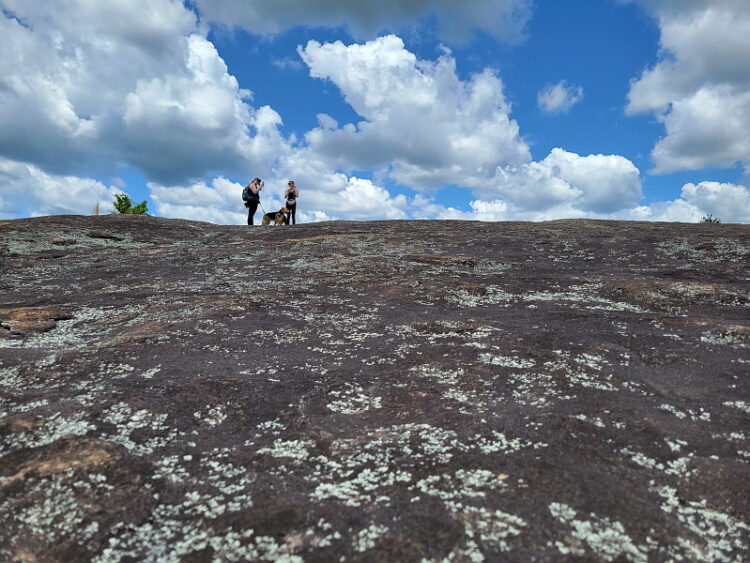 조지아, 그곳이 걷고 싶다 20. 아라비아 마운틴 Arabia Mountain