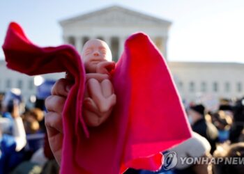 아이다호주, 텍사스주 본뜬 초강력 낙태금지법 제정