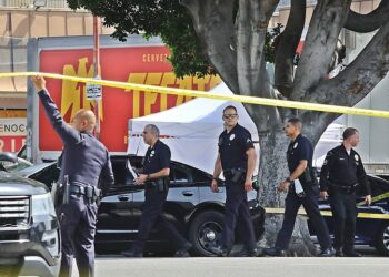 LA 한인타운 쇼핑몰서 권총 무장 남성, 경찰 총에 사망