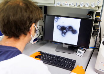 독일 백신 제조사 바바리안 노르딕의 실험실 연구원이 원숭이두창 바이러스 사진을 관찰하고 있다. 사진 / 로이터