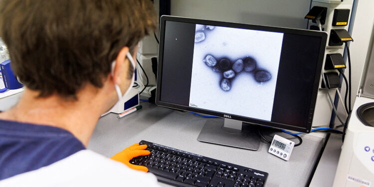 독일 백신 제조사 바바리안 노르딕의 실험실 연구원이 원숭이두창 바이러스 사진을 관찰하고 있다. 사진 / 로이터