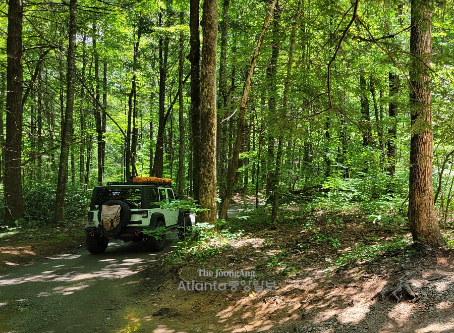 조지아, 그곳이 걷고 싶다 29. 헴락폭포 트레일 Hemlock Falls Trail