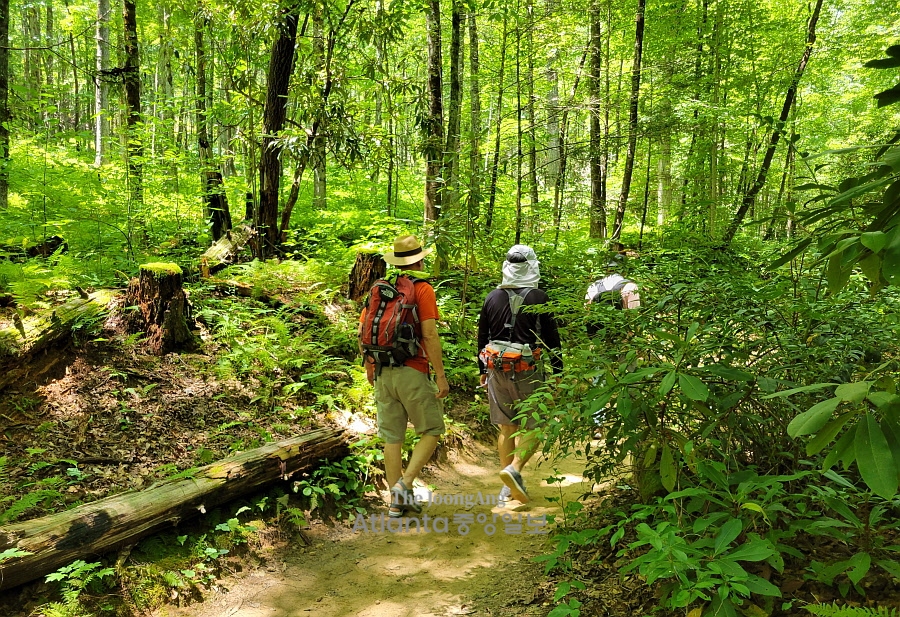 조지아, 그곳이 걷고 싶다 29. 헴락폭포 트레일 Hemlock Falls Trail