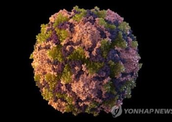 9년 만에 소아마비 귀환…예방접종 안한 20살 남성