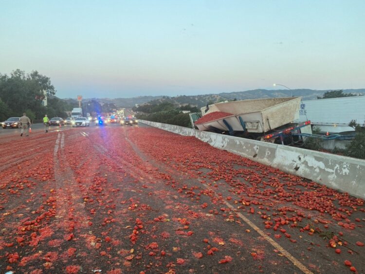 고속도로에 토마토 15만개 '와르르'