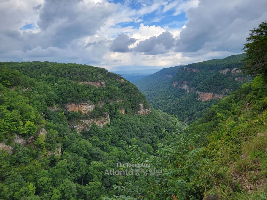 조지아, 그곳이 걷고 싶다 30. 클라우드랜드 캐년 Cloudland Canyon