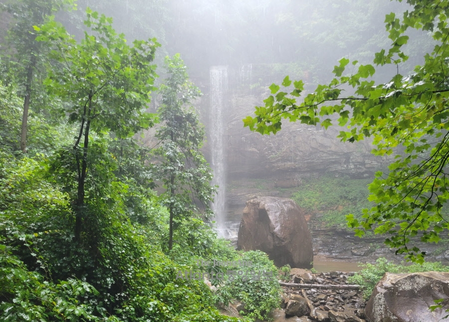 조지아, 그곳이 걷고 싶다 30. 클라우드랜드 캐년 Cloudland Canyon