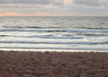 26일(현지시간) 호주 시드니 본다이 해변에서 피부암 정기 검진을 촉구하기 위해 약 2천500명의 참가자가 집단 누드 촬영을 하고 있다. 로이터 사진.