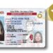 연방정부 규정에 따라 제작된 단일 신분증 '리얼 ID'. 일리노이 주 총무처 제공.