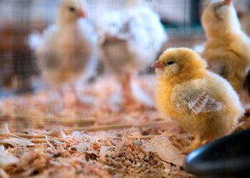 이미지 사진 unsplash