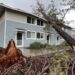 11일 캘리포니아주 캠벨에 위치한 한 아파트에서 폭풍우로 뽑힌 대형 나무가 지붕을 덮치고 있다. 연합뉴스.