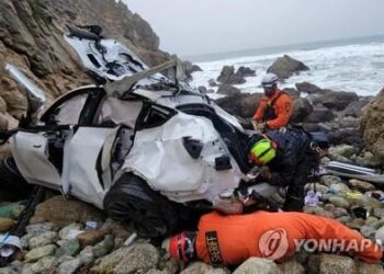 캘리포니아주 해안 절벽에서 고의 사고로 추락한 테슬라 전기차. 로이터-연합뉴스