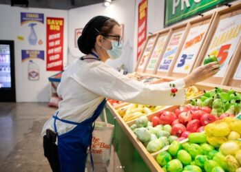 미시간 앤아버에 들어선 전시회 '플라스틱 백 스토어'. 앤아버플라스틱백 스토어 인스타그램 캡처