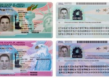 새로 디자인된 그린카드와 EAD카드. USCIS.