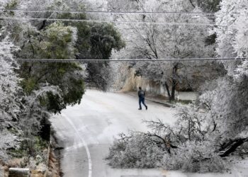 사진은 2월1일 겨울 폭풍에 나무가 쓰러진 텍사스 사우스 어스틴. 로이터