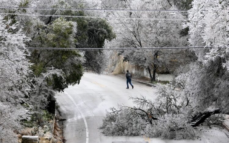사진은 2월1일 겨울 폭풍에 나무가 쓰러진 텍사스 사우스 어스틴. 로이터