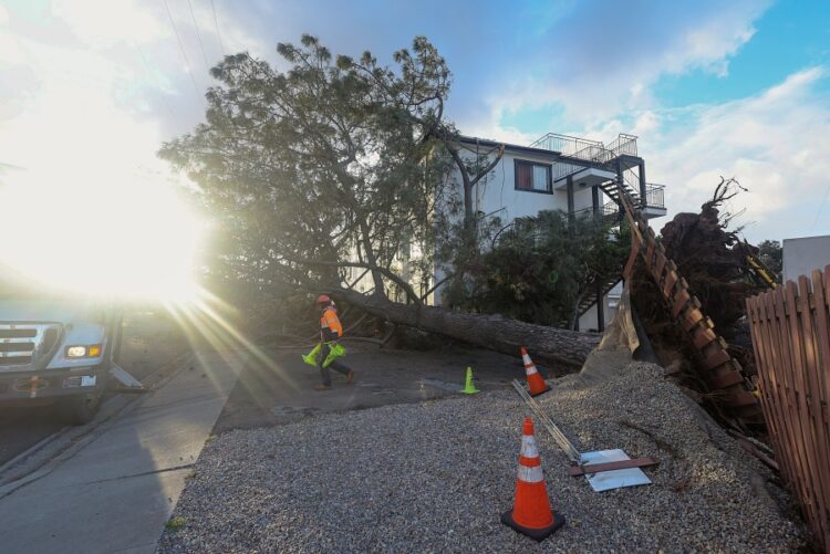 2023년 2월 22일 캘리포니아주 샌디에고에 겨울 폭풍으로 쓰러진 나무가 아파트 건물을 덮쳤다. 로이터.