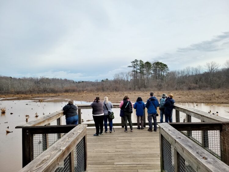 아이비 크릭 그린웨이 습지 전망대에서 탐조 동호회원들이 새들을 살피고 있다. 사진 이종호 대표