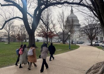 2022년 12월, 드리머들이 워싱턴 국회를 방문하고 있다. 로이터