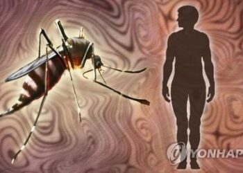 미국서 20년만에 말라리아 지역 내 감염 발생