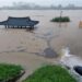 신혼교사·70대 노모·세 아이 아빠…한국 4일째 폭우로 45명 사망·실종