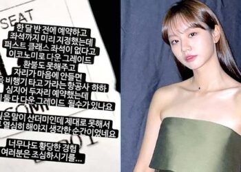 "1등석 샀는데 이코노미 줬다" 델타항공 횡포 폭로한 배우 혜리