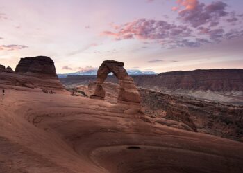 아버지 유골 뿌리다 열사병으로 사망…아들의 기막힌 마지막 여행