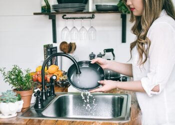 이미지 사진 unsplash