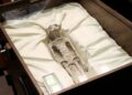 멕시코 의회 청문회서 공개된 '외계인 시신' 주장 물체