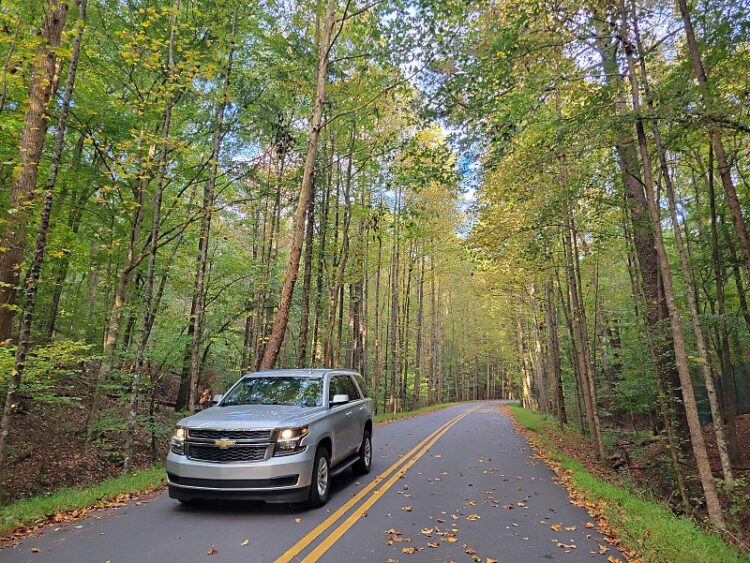 조지아, 그곳이 걷고 싶다 48. 존스크릭 존스브리지 트레일 (Johns Bridge Trail)