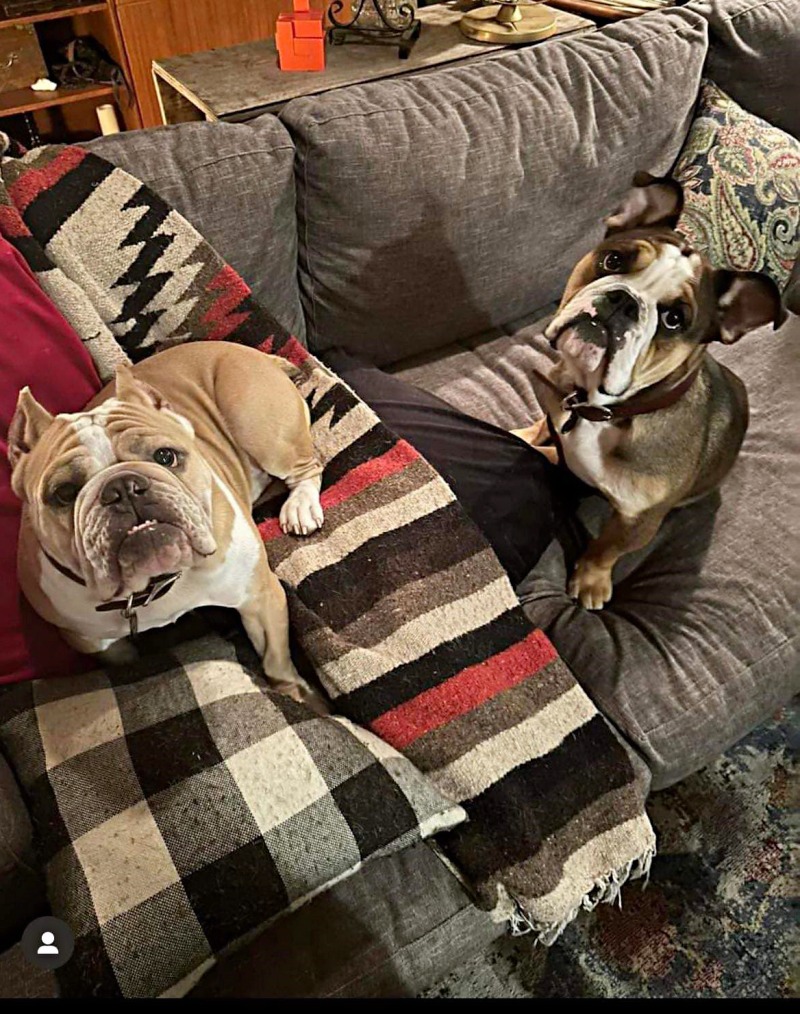 돈이 되니까\, image size:800x1014