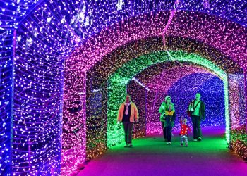 UGA 식물원서 '겨울 빛 축제'