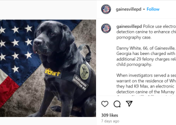 숨겨진 전자기기를 냄새로 찾아내는 경찰견 맥스 화제