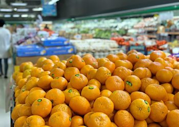 아씨마켓. 사진 윤지아 기자