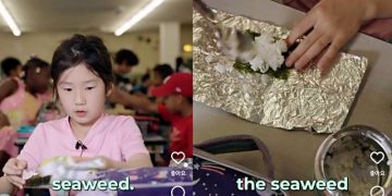 지난해 9월 올라온 미국 뉴욕시의 한인 소녀의 점심 도시락 공개 영상. 사진 인스타그램