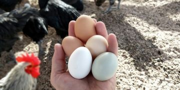 이미지 사진 Unsplash