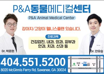 P&A 동물메디컬센터(동물병원) P&A ANIMAL MEDICAL CENTER