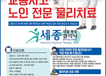 [조지아·동남부 추천 한인업체] 세종 재활통증클리닉 HARMONY PHYSICAL THERAPY, LLC