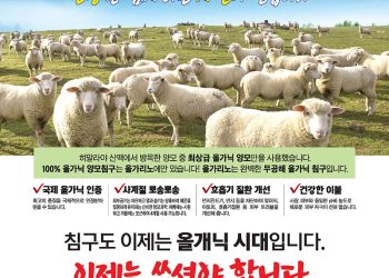 [조지아·동남부 추천 한인업체] 올가리노 ORGARINO 침구