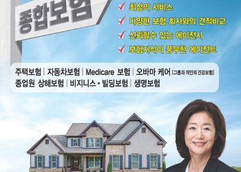 [조지아·동남부 추천 한인업체] 코너스톤 종합보험 남계숙 CORNERSTONE INSURANCE SERVICE,LLC
