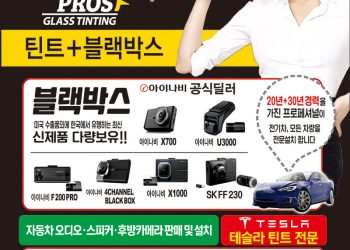 [조지아·동남부 추천 한인업체] 틴트 프로스 TINT PROS GLASS TINTING
