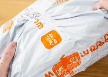 테무 소포. [출처 : Audio und werbung / Shutterstock.com]