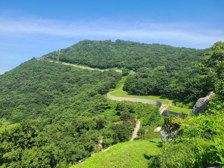 이미지 사진 [국립산림과학원 제공]