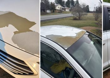 [페이스북 'Hyundai Paint Peel/Peeling' 캡처]