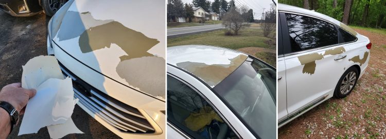 [페이스북 'Hyundai Paint Peel/Peeling' 캡처]