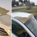 [페이스북 'Hyundai Paint Peel/Peeling' 캡처]