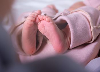 이미지 사진 [출처 셔터스톡]